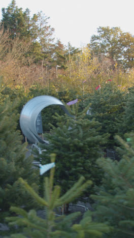 Vertical-Video-Of-Machines-For-Netting-Christmas-Trees-Outdoors-At-Garden-Centre